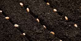 Nadie puede dar más que Dios (2 Corintios 9)